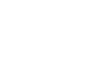 Ngen Star Logo